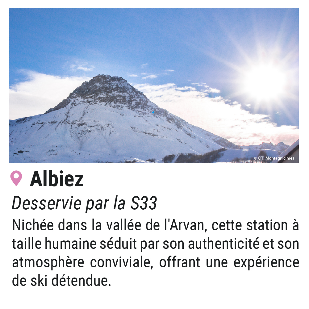 albiez s33 100