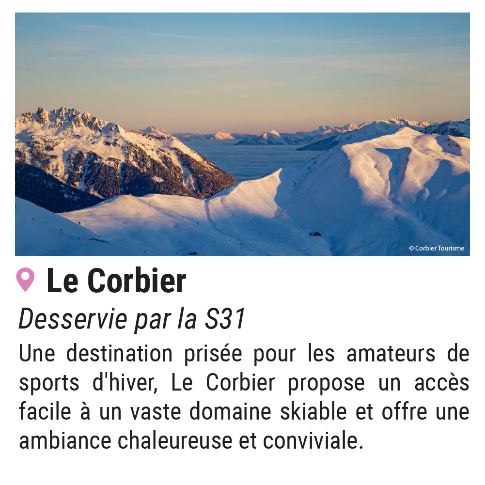 corbier s31 100